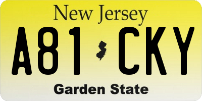 NJ license plate A81CKY