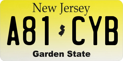 NJ license plate A81CYB