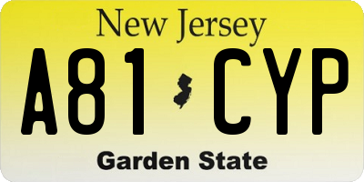 NJ license plate A81CYP