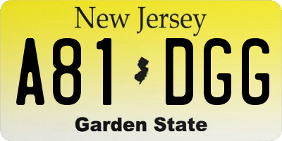 NJ license plate A81DGG