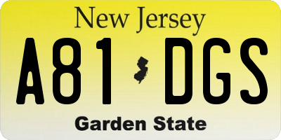 NJ license plate A81DGS