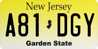 NJ license plate A81DGY