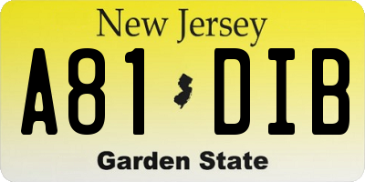 NJ license plate A81DIB