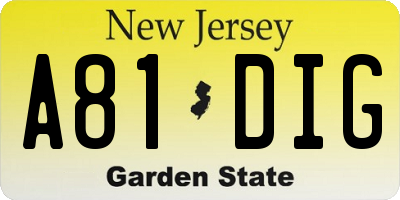 NJ license plate A81DIG