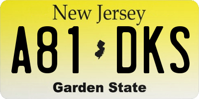 NJ license plate A81DKS