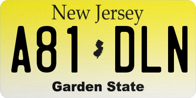 NJ license plate A81DLN