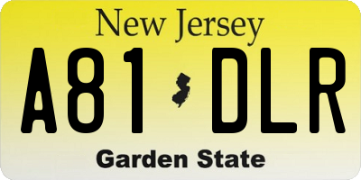 NJ license plate A81DLR