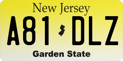 NJ license plate A81DLZ