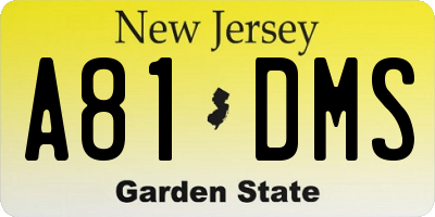NJ license plate A81DMS