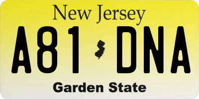 NJ license plate A81DNA