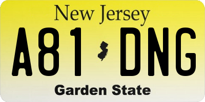 NJ license plate A81DNG