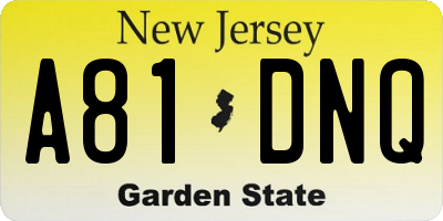 NJ license plate A81DNQ