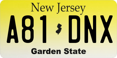 NJ license plate A81DNX
