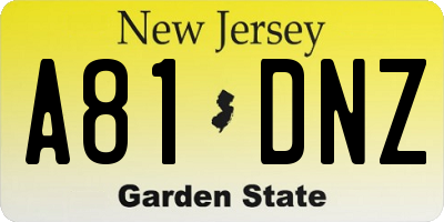 NJ license plate A81DNZ