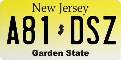 NJ license plate A81DSZ