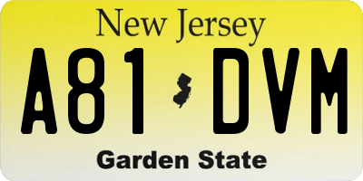 NJ license plate A81DVM