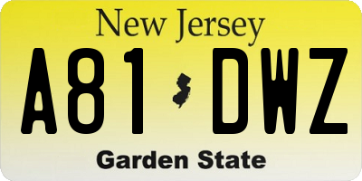 NJ license plate A81DWZ