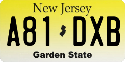 NJ license plate A81DXB