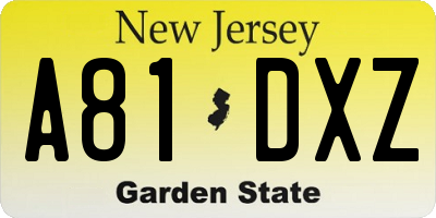 NJ license plate A81DXZ