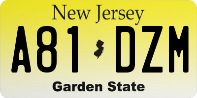 NJ license plate A81DZM