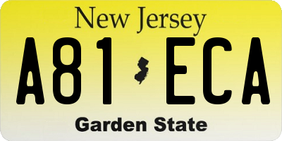 NJ license plate A81ECA