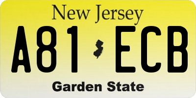 NJ license plate A81ECB