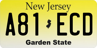 NJ license plate A81ECD