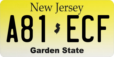NJ license plate A81ECF