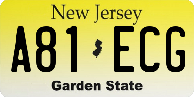 NJ license plate A81ECG