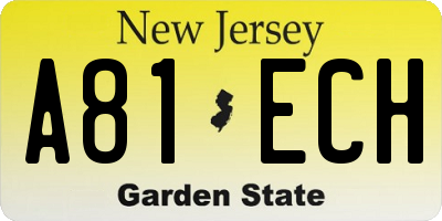 NJ license plate A81ECH
