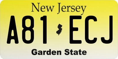 NJ license plate A81ECJ