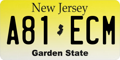 NJ license plate A81ECM