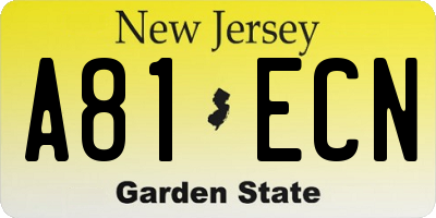 NJ license plate A81ECN