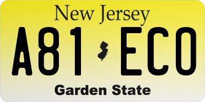 NJ license plate A81ECO