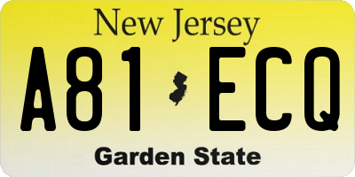 NJ license plate A81ECQ