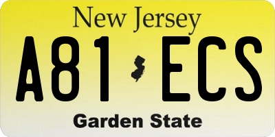 NJ license plate A81ECS