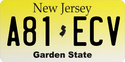 NJ license plate A81ECV