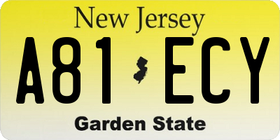 NJ license plate A81ECY