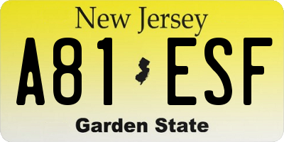 NJ license plate A81ESF