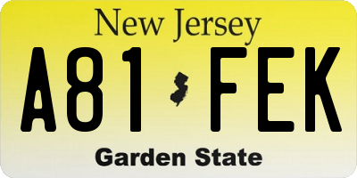NJ license plate A81FEK