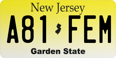 NJ license plate A81FEM
