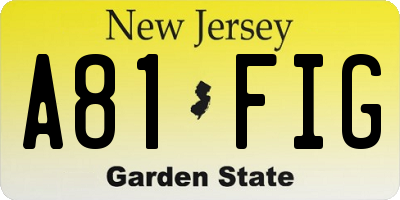 NJ license plate A81FIG