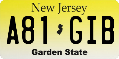 NJ license plate A81GIB
