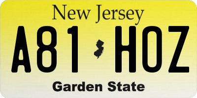 NJ license plate A81HOZ