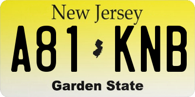 NJ license plate A81KNB