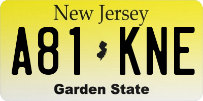 NJ license plate A81KNE