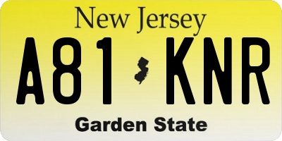 NJ license plate A81KNR