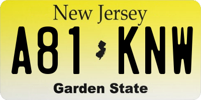 NJ license plate A81KNW