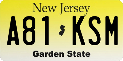 NJ license plate A81KSM