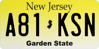 NJ license plate A81KSN